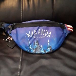 Limited Edition Sprayground Black Panther bag